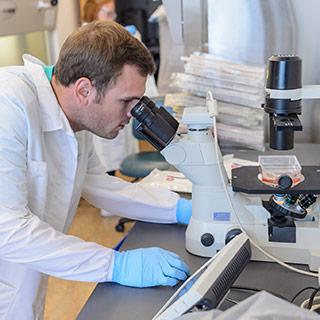 化学学生在科学实验室里观察显微镜
